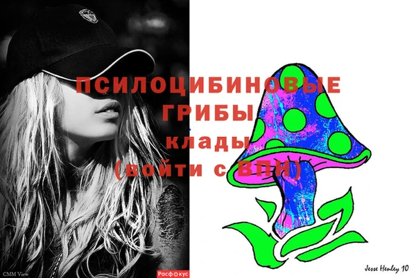 эйфоретик Богородск
