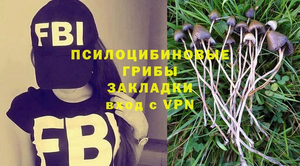 прущие крисы Бугульма
