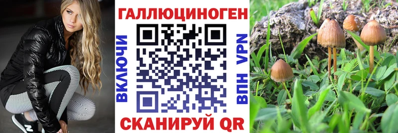 Псилоцибиновые грибы GOLDEN TEACHER  Купить  Цивильск 